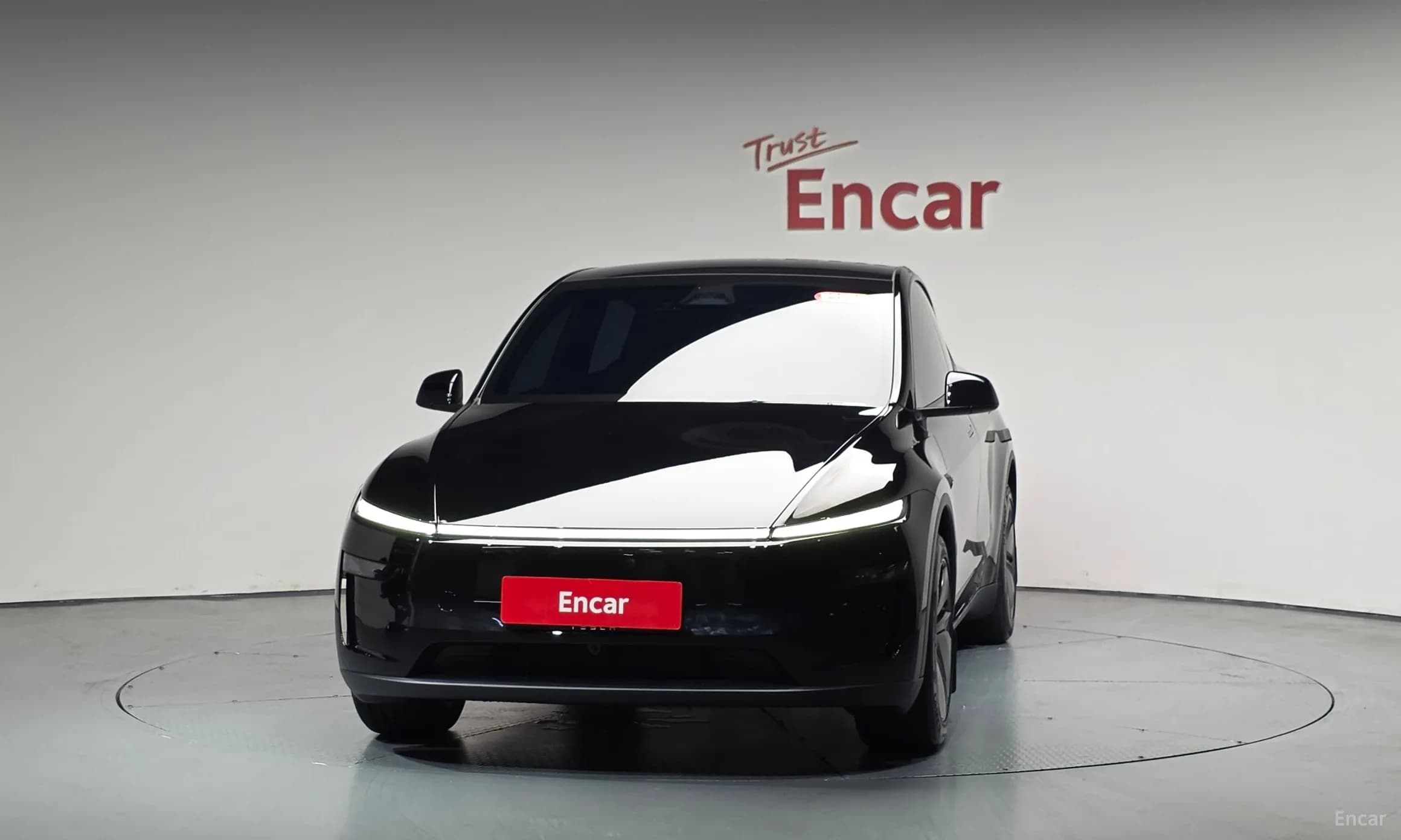 Model Y