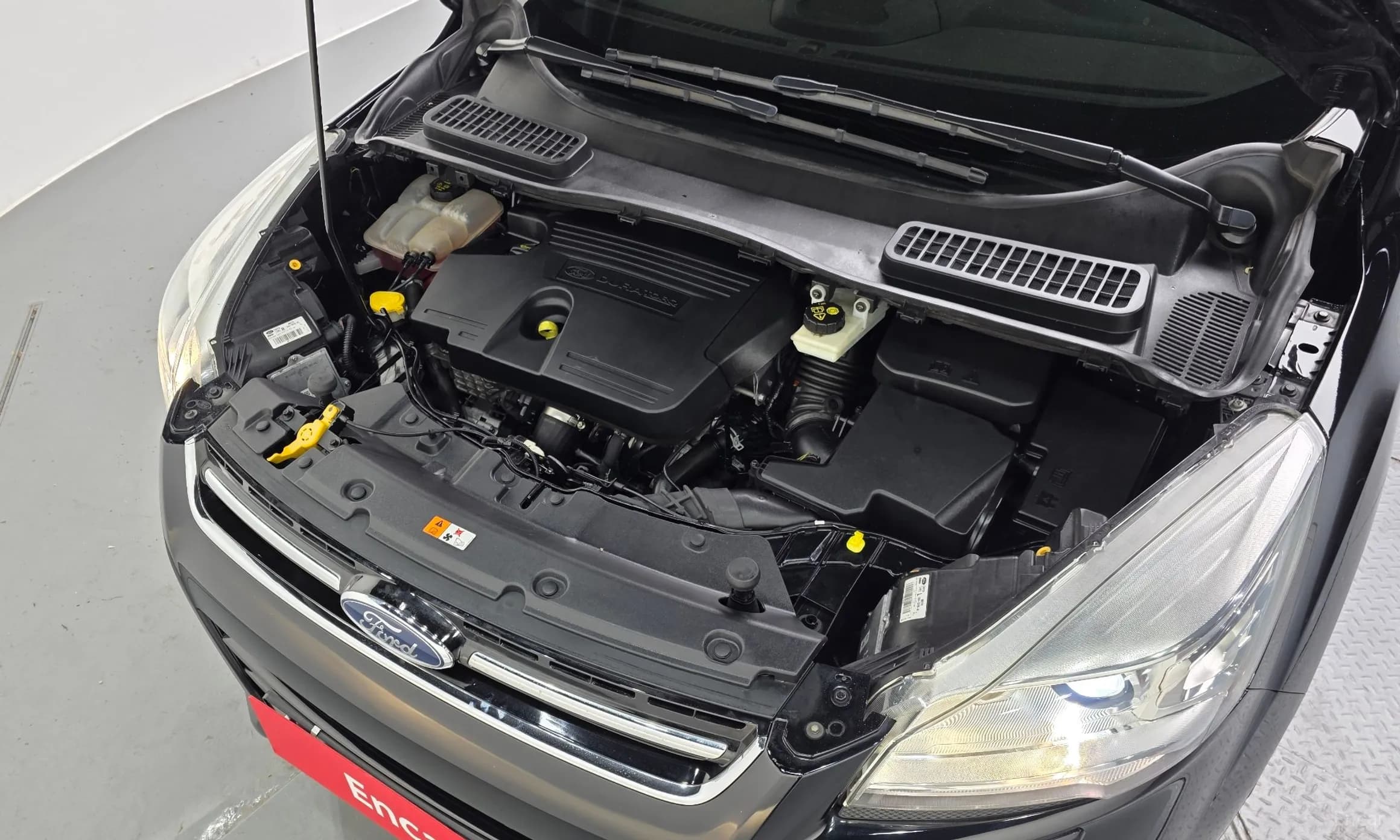 Cougar 2nd Generation