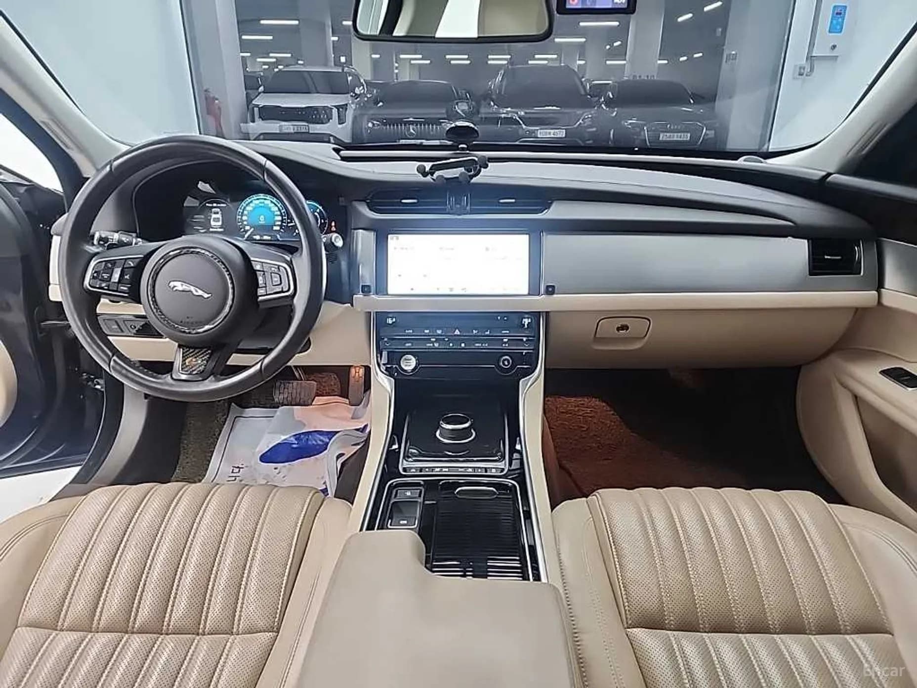 XF (x260)