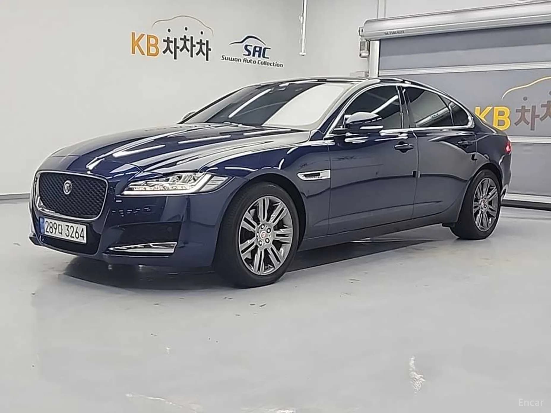 XF (x260)