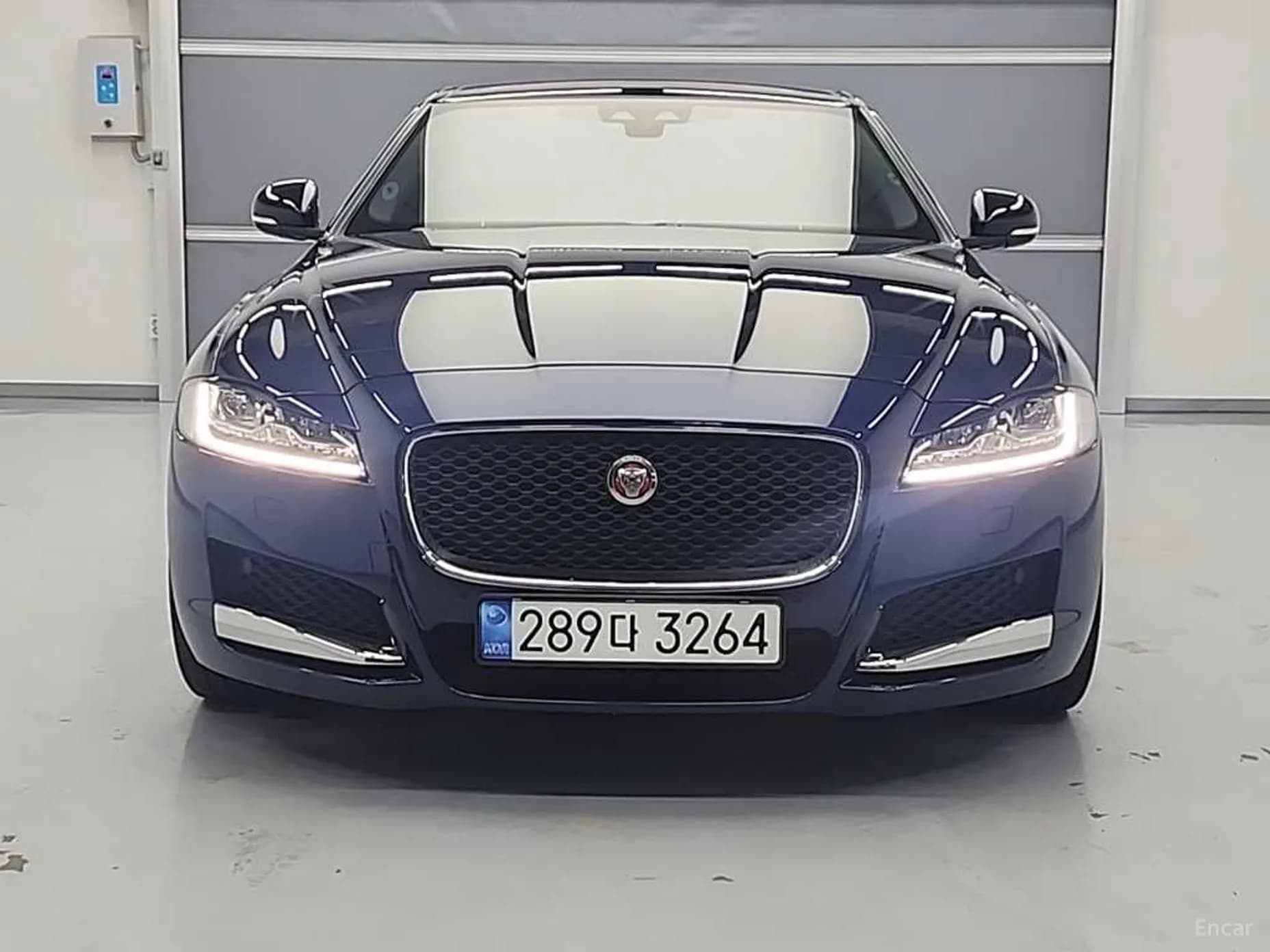 XF (x260)