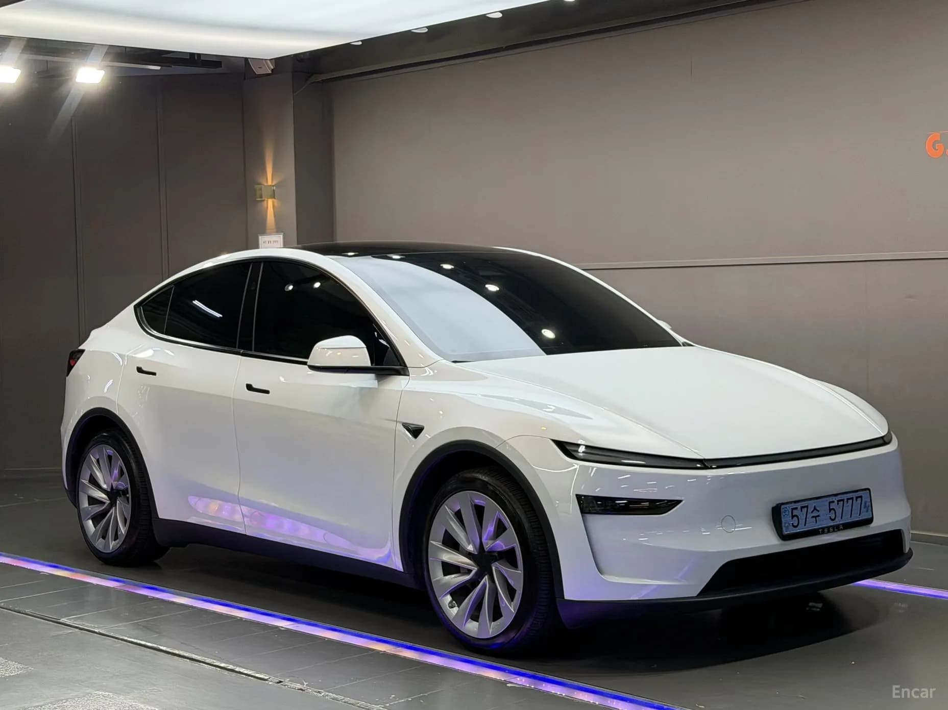 Model Y