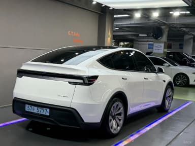 Model Y
