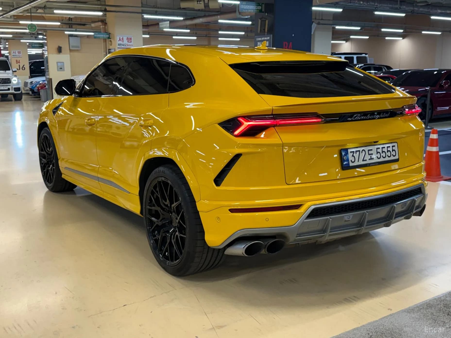 Urus