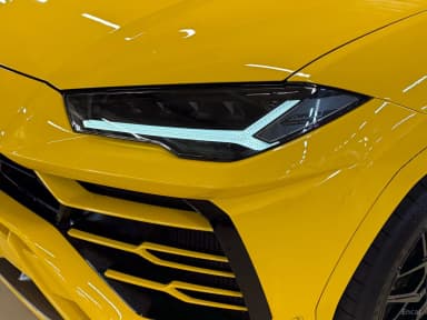 Urus
