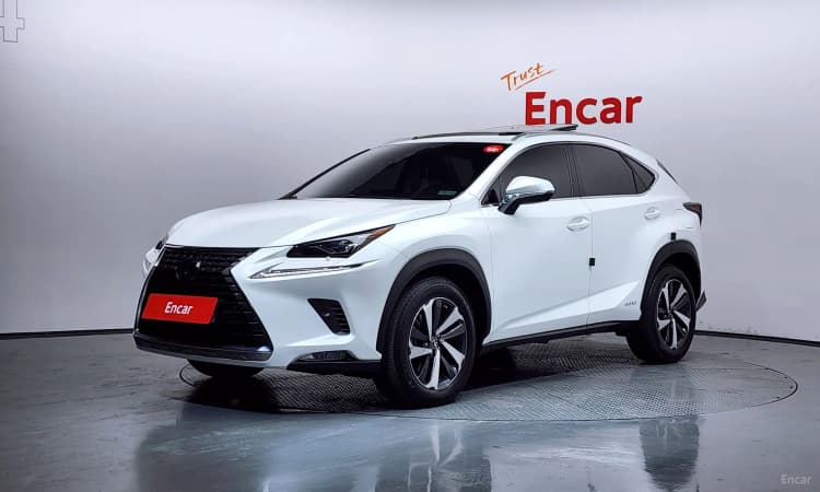 NX300h