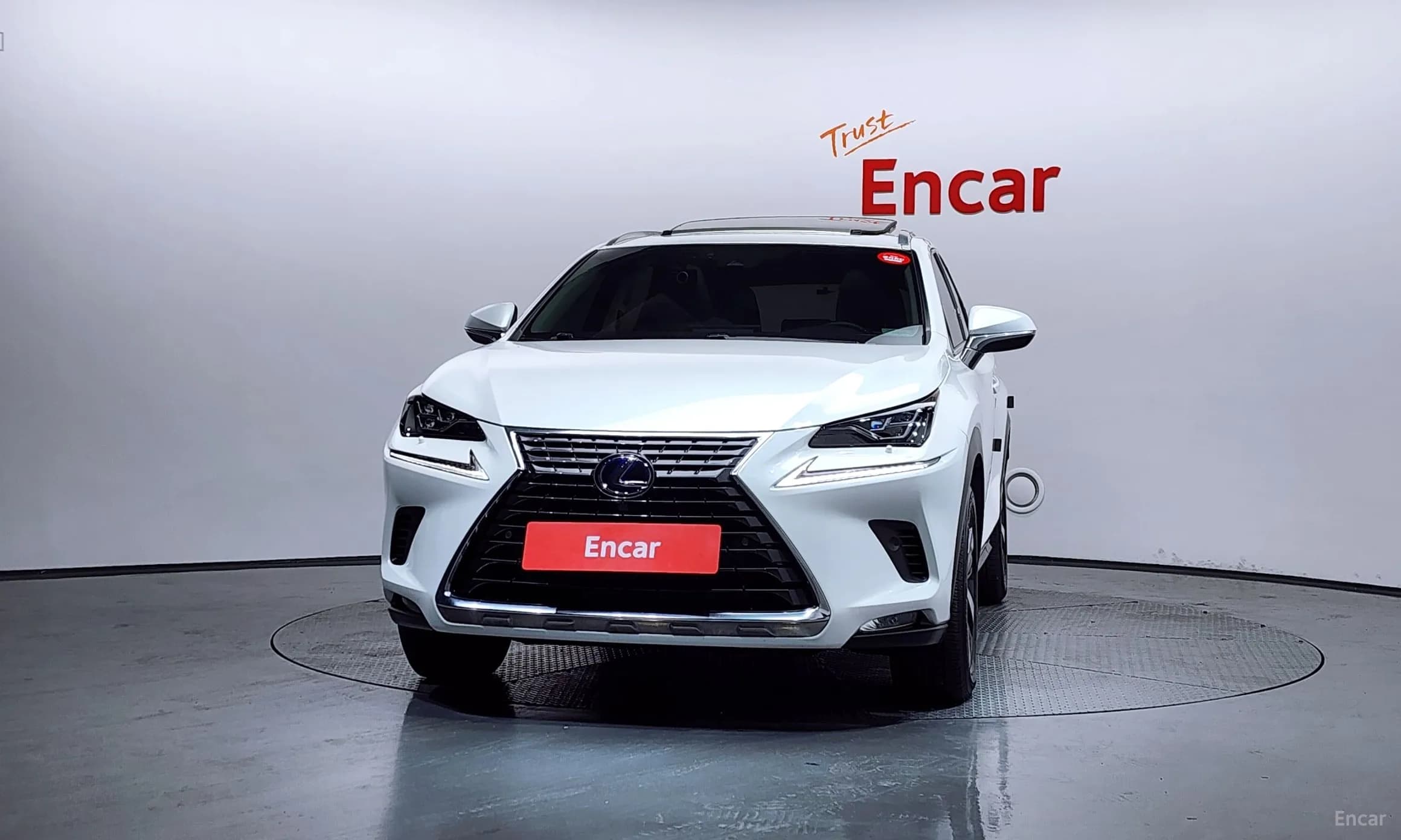 NX300h