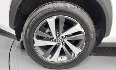 NX300h