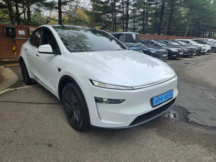 Model Y