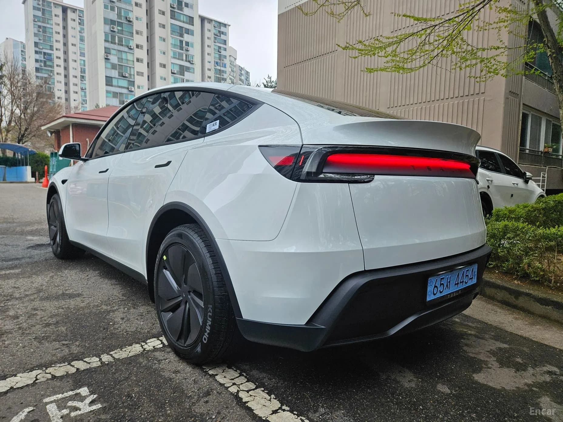Model Y