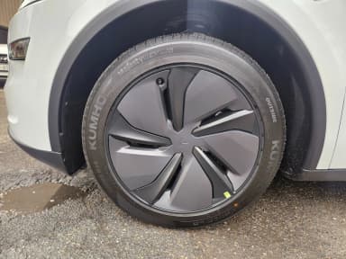 Model Y