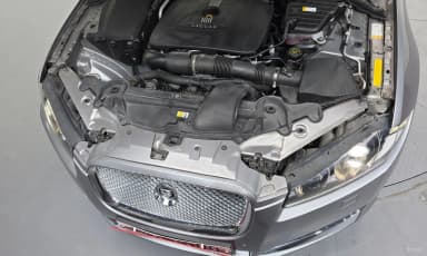 New XF