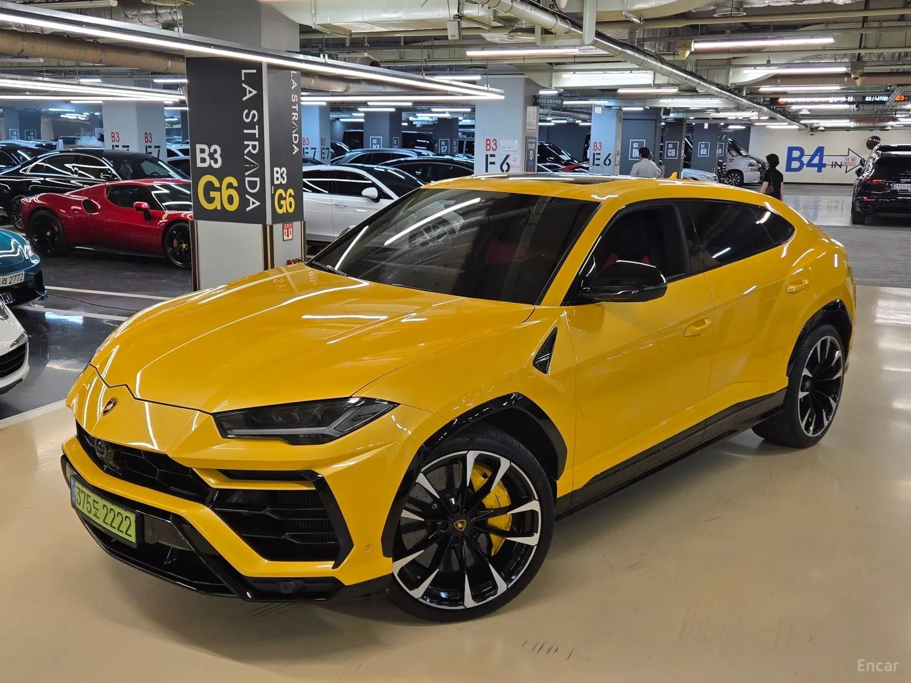 Urus