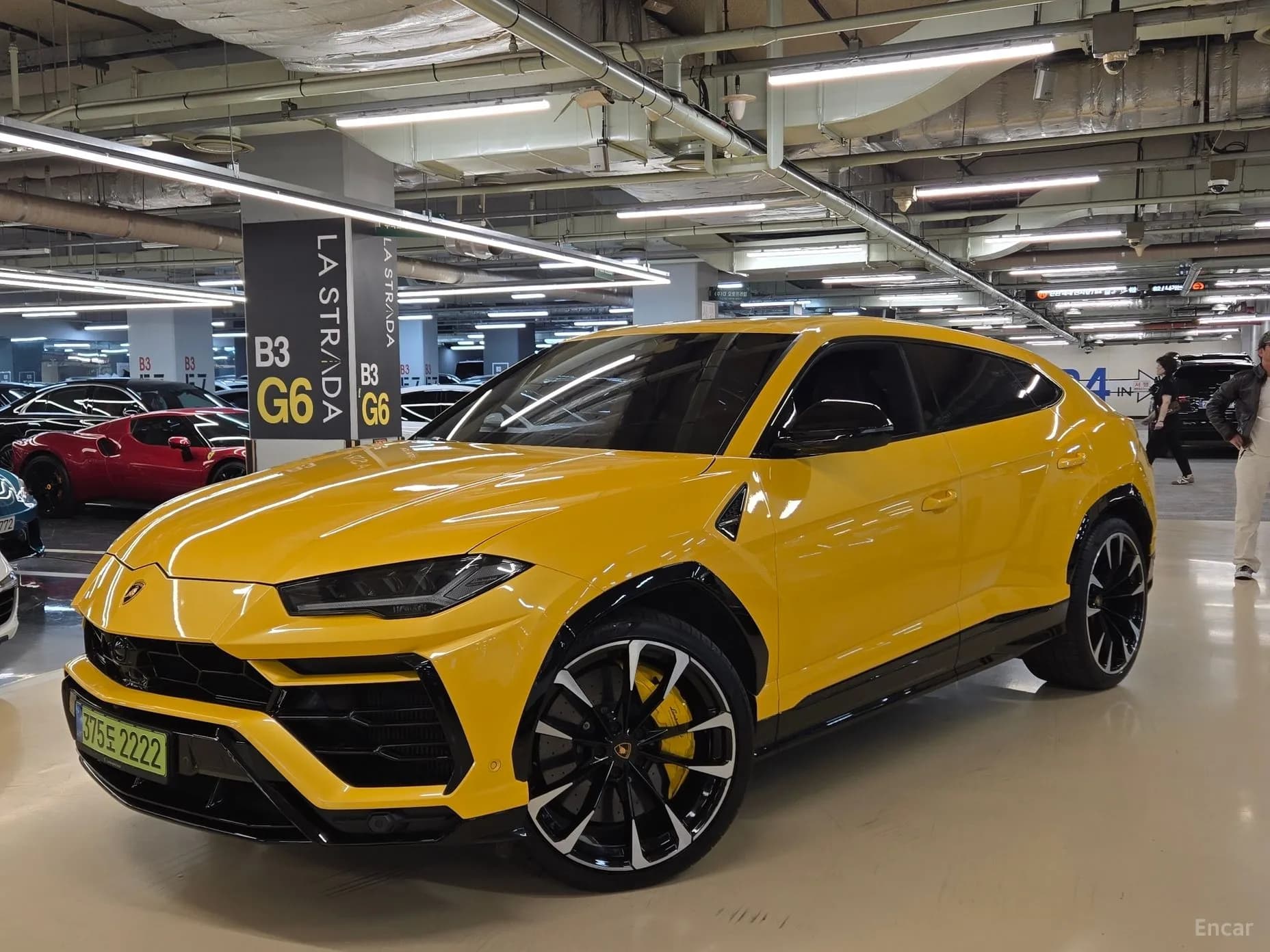 Urus