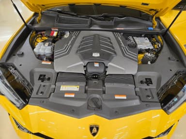 Urus