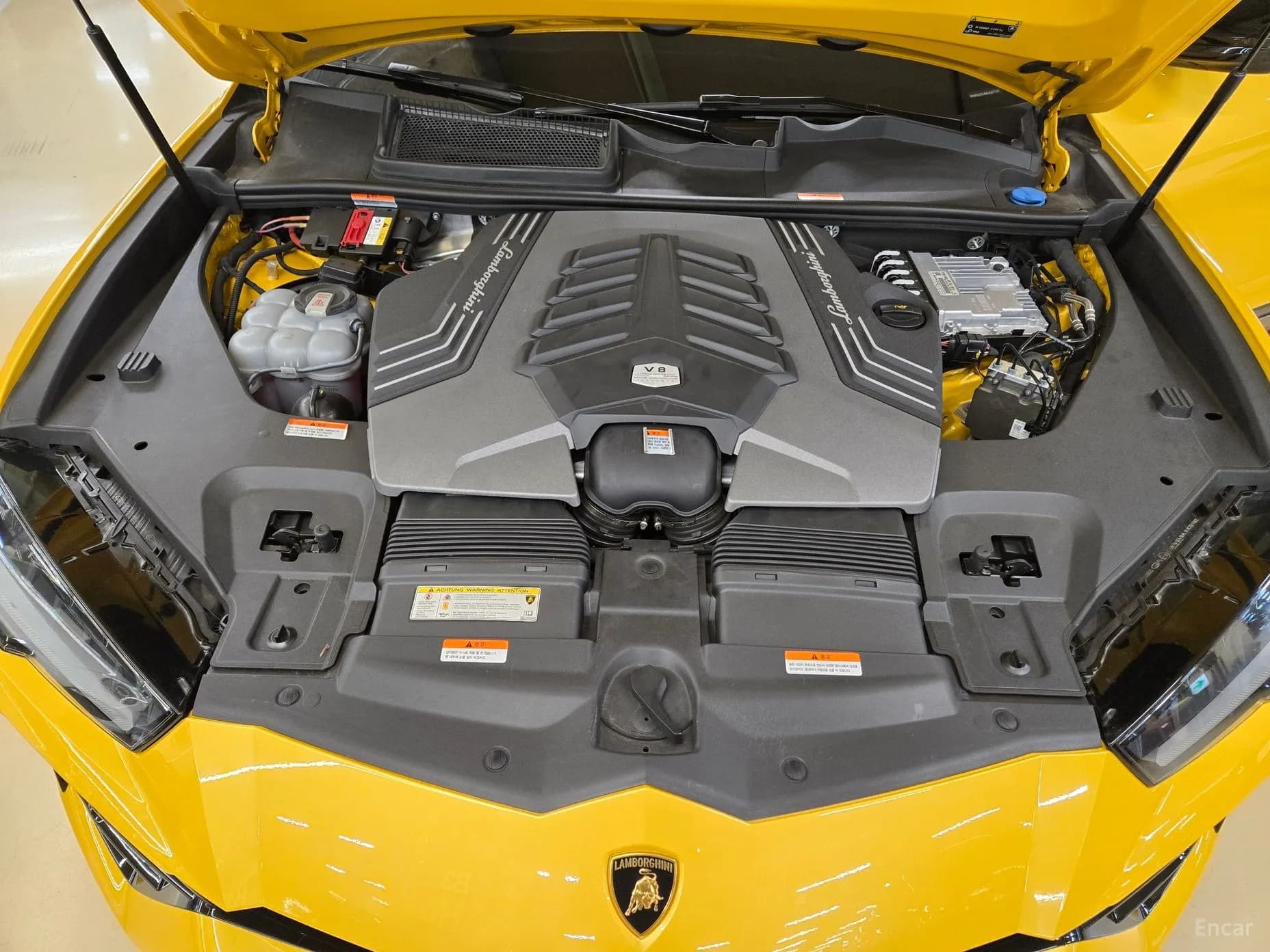 Urus