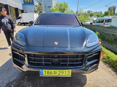 Cayenne (PO536)