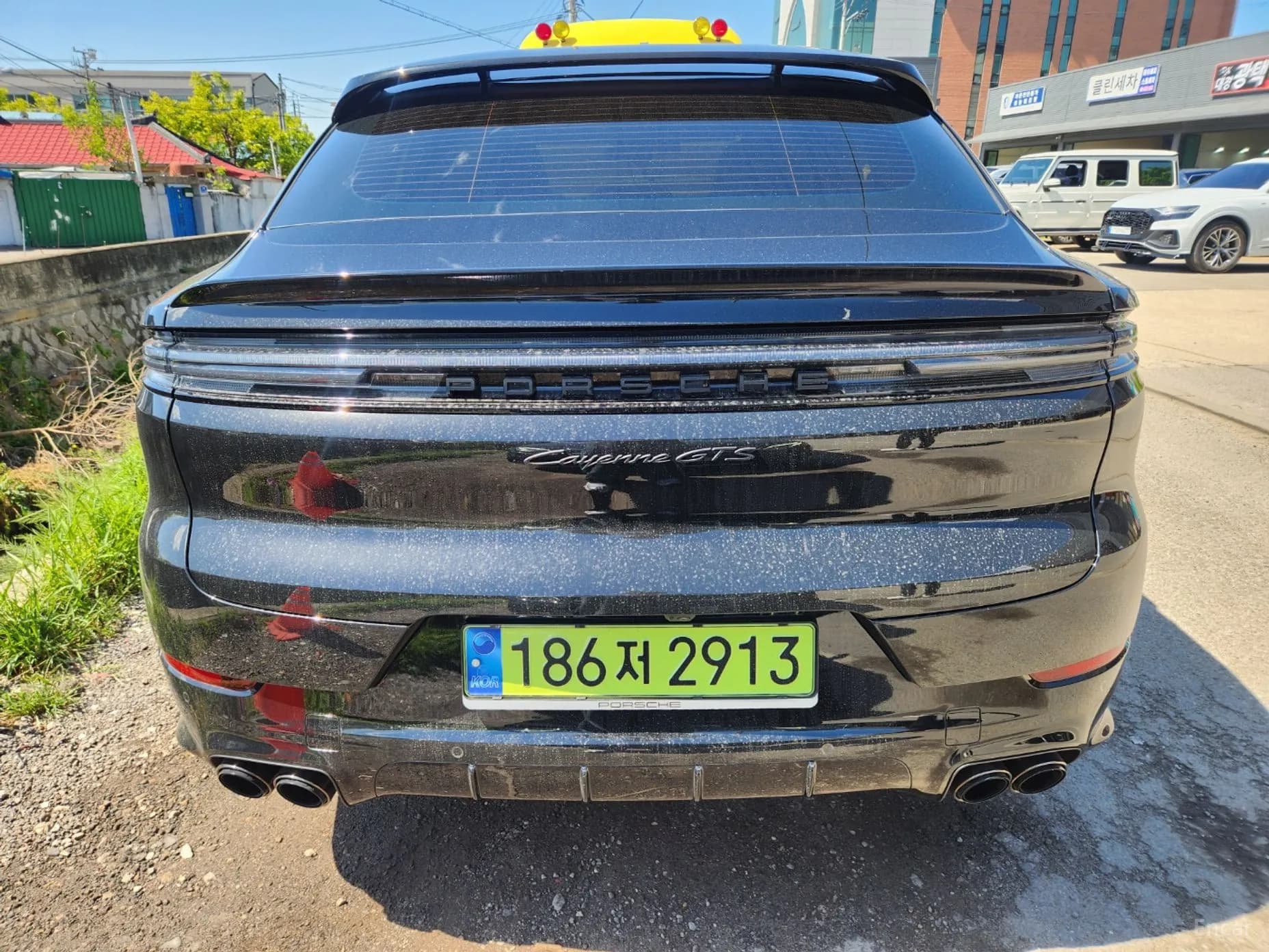 Cayenne (PO536)