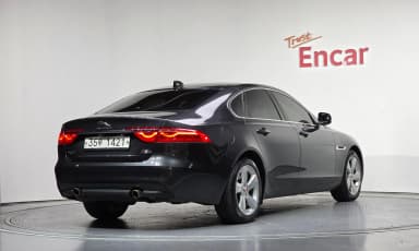 XF (x260)