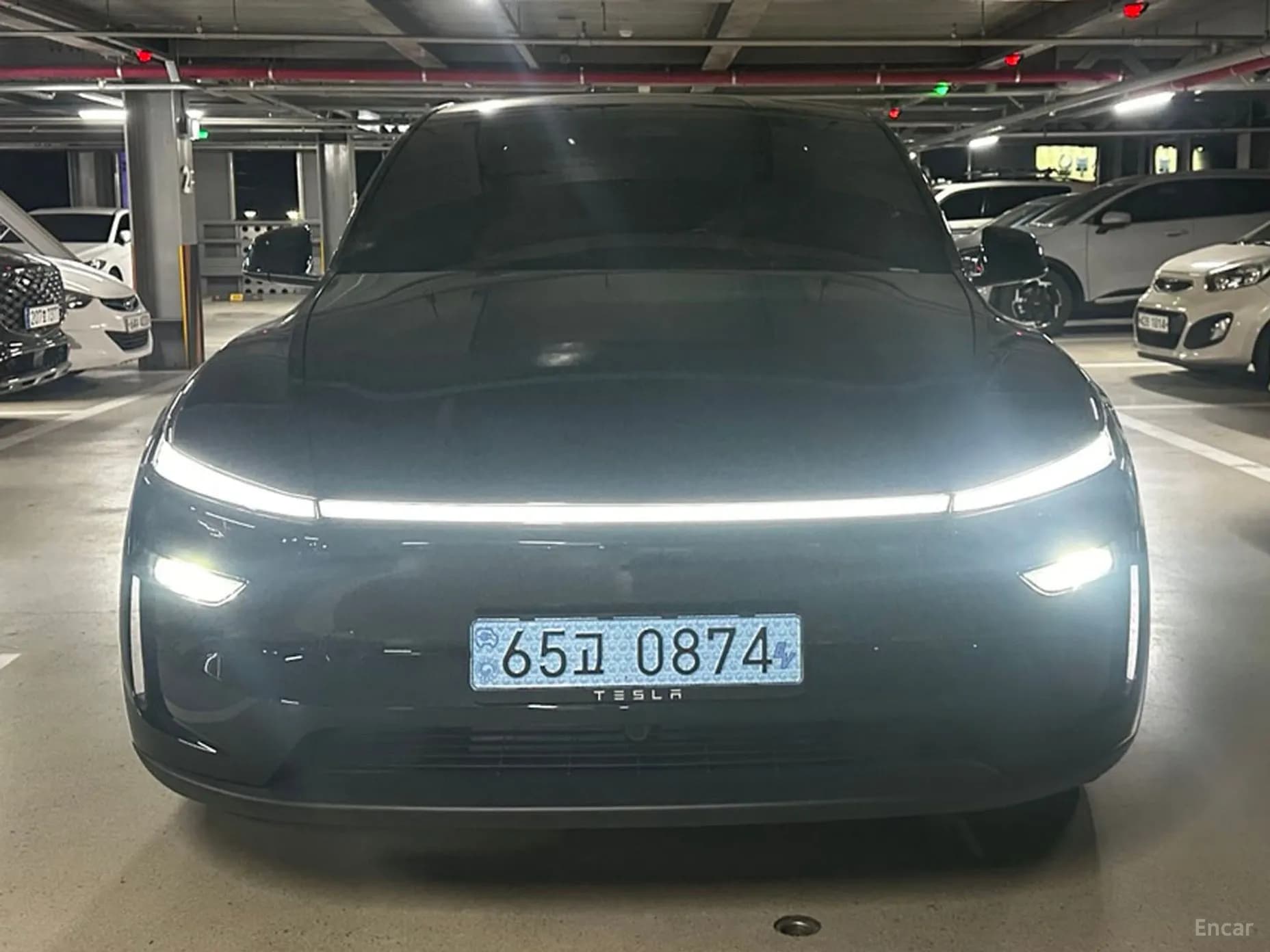 Model Y
