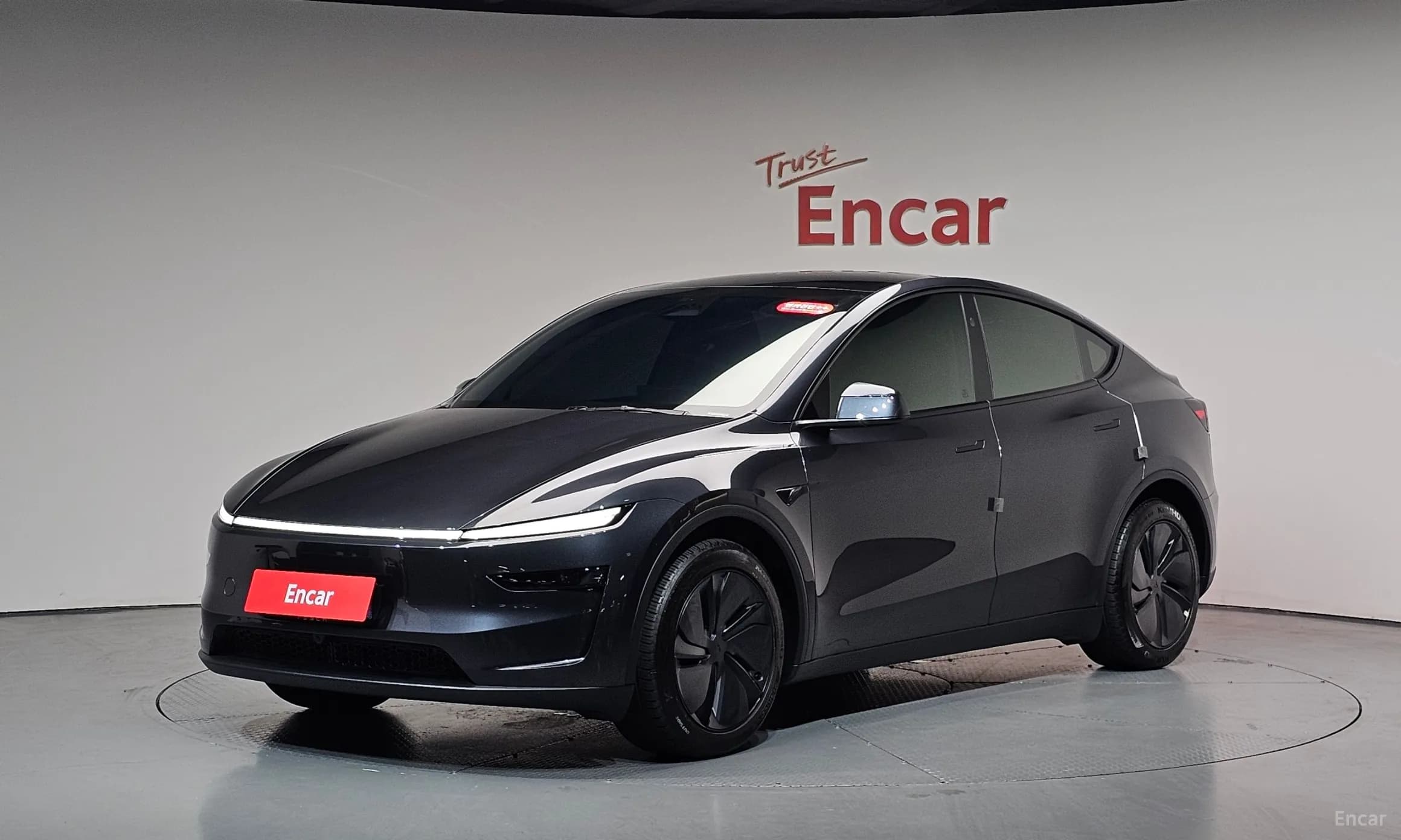 Model Y