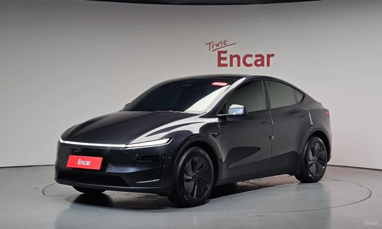 Model Y