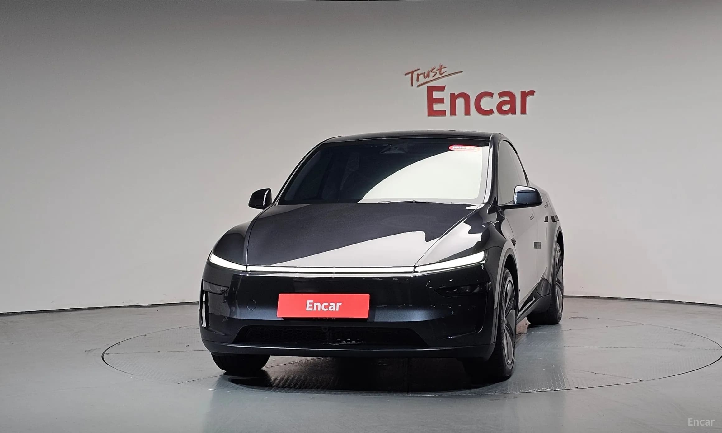 Model Y