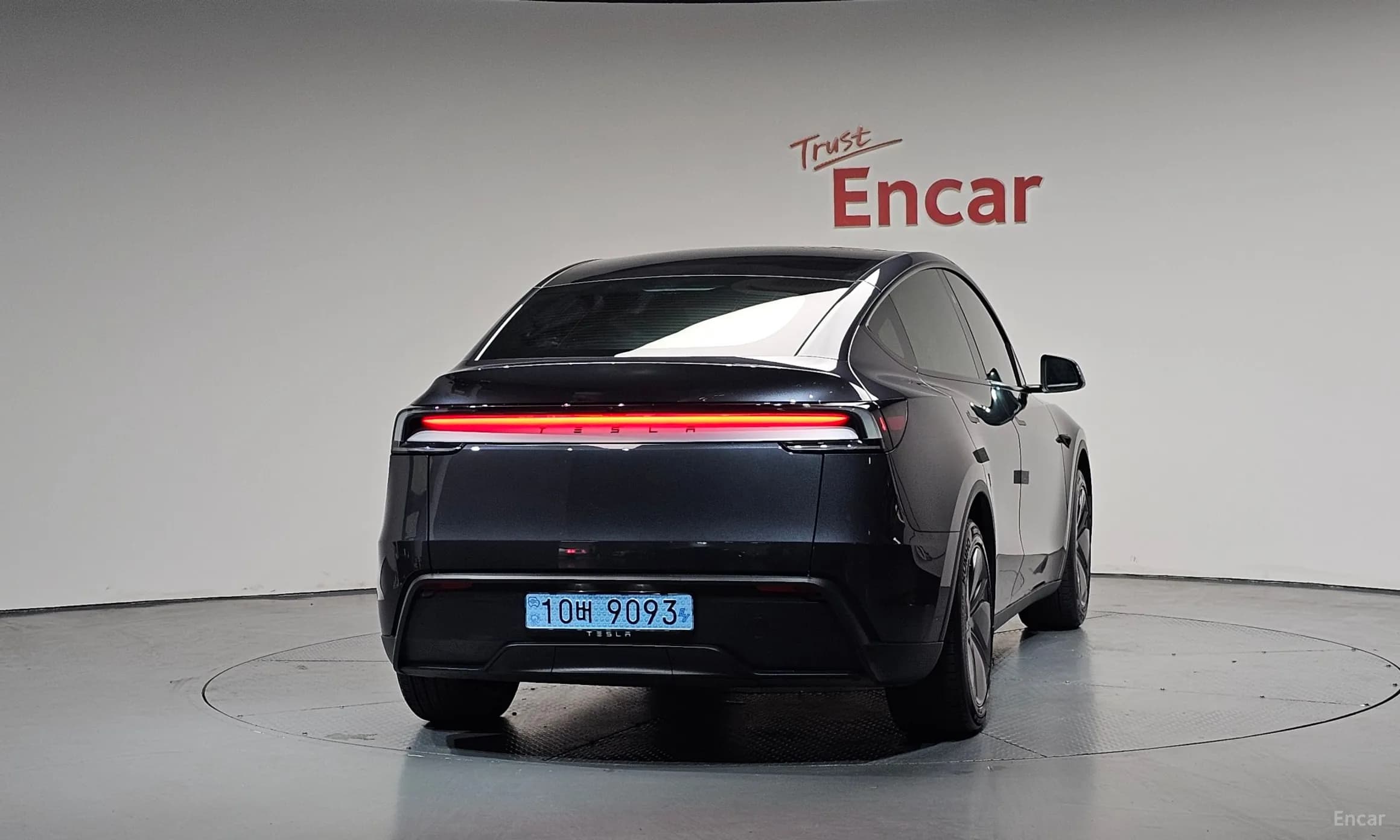 Model Y
