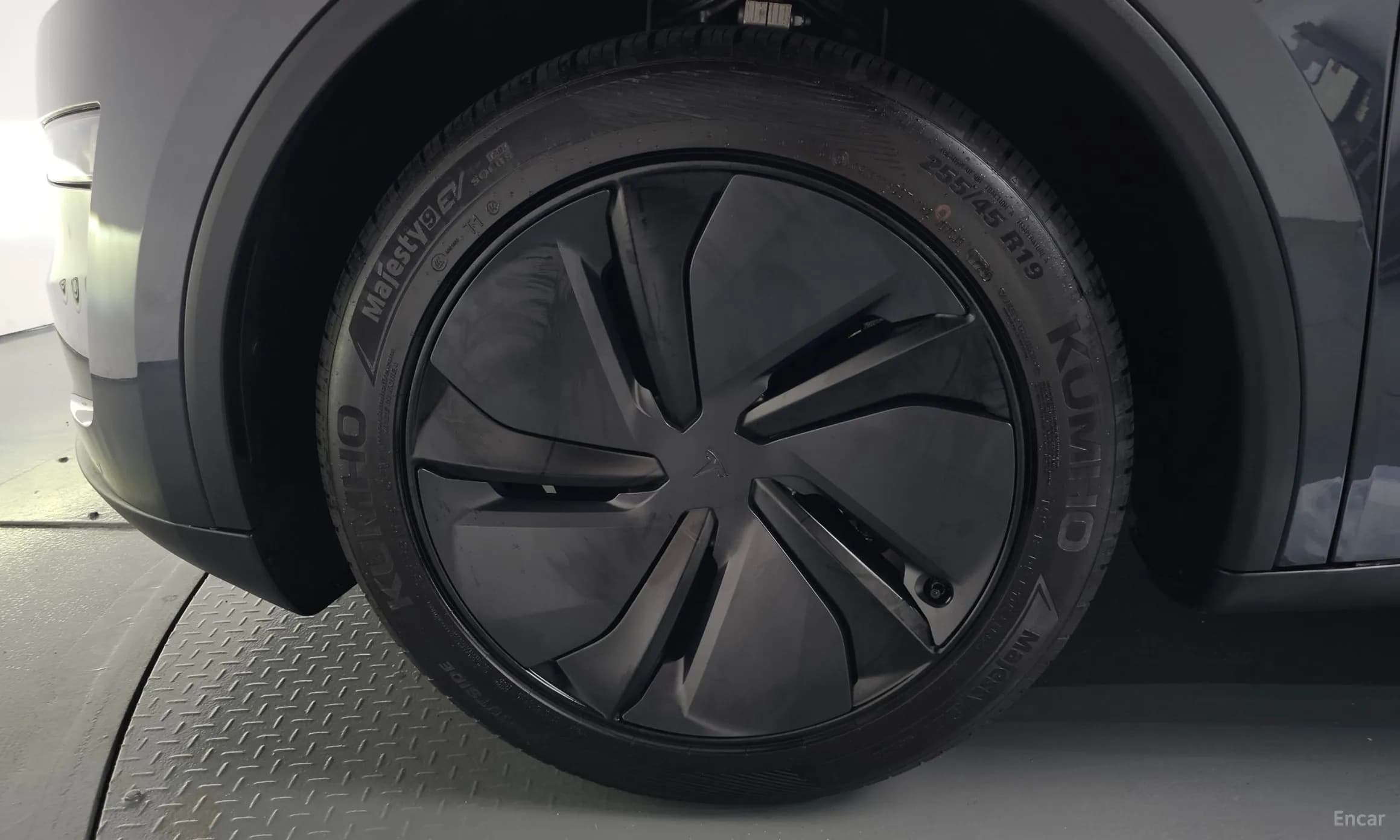 Model Y