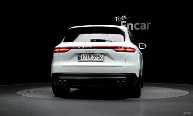 Cayenne (PO536)