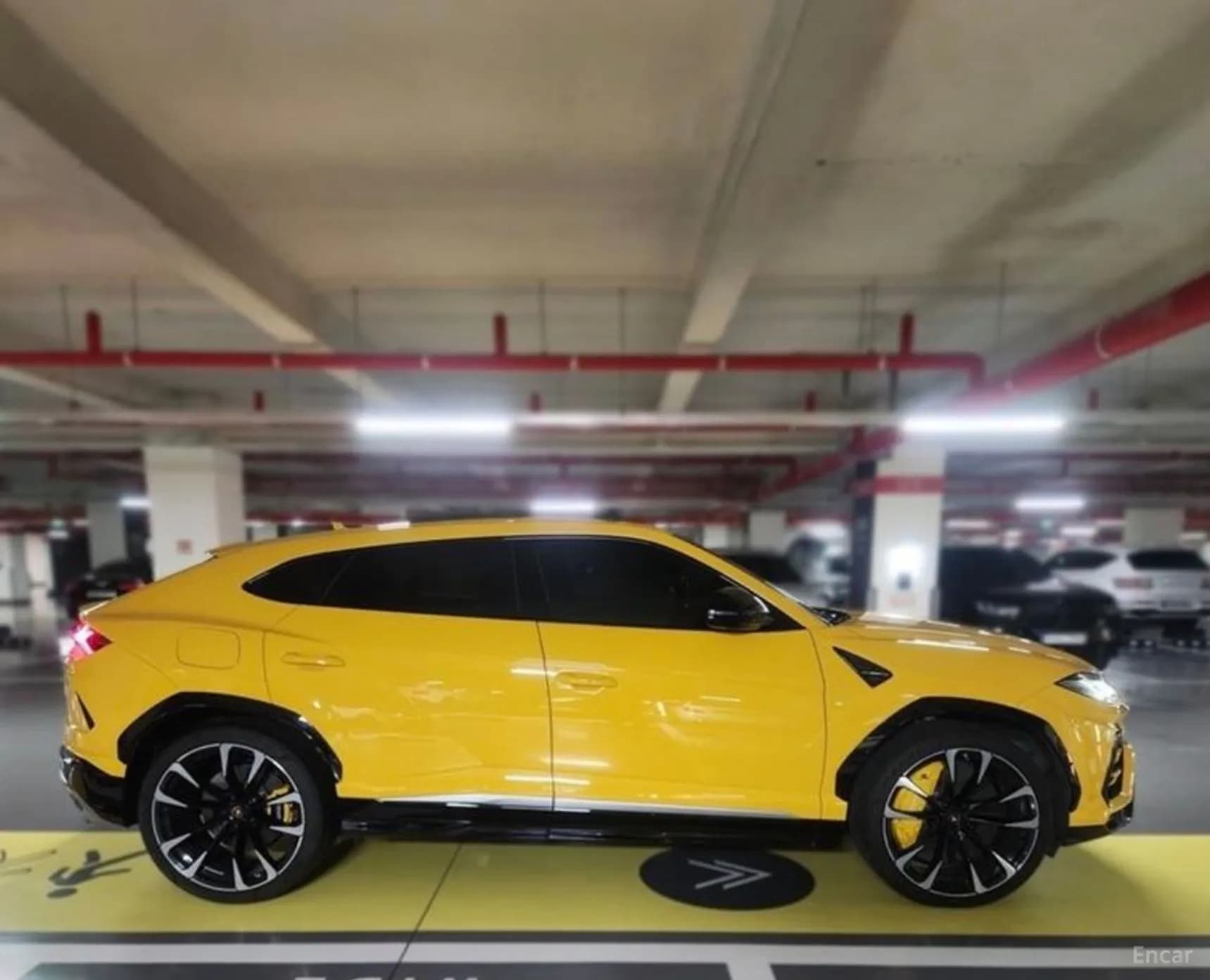 Urus