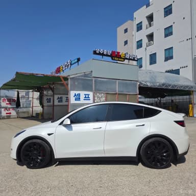 Model Y