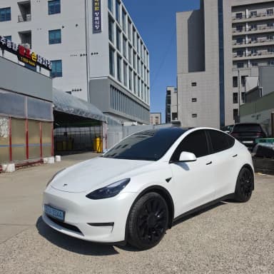 Model Y