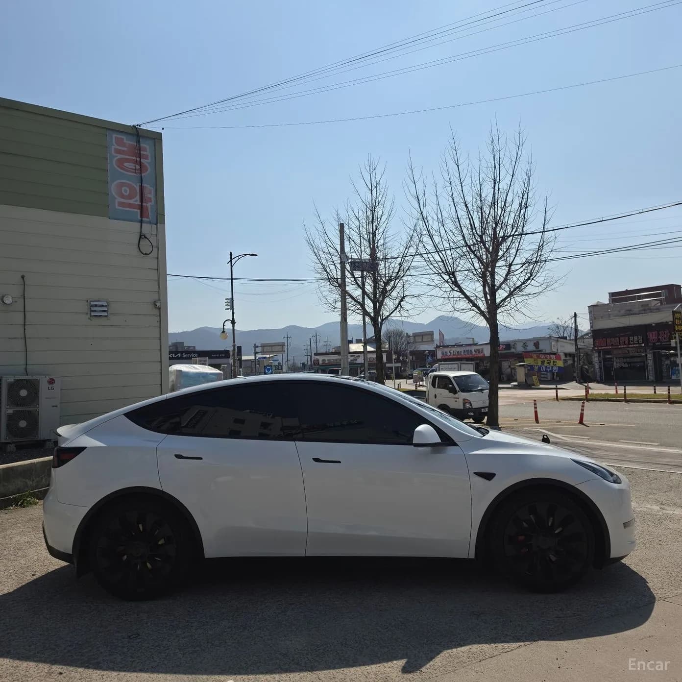 Model Y