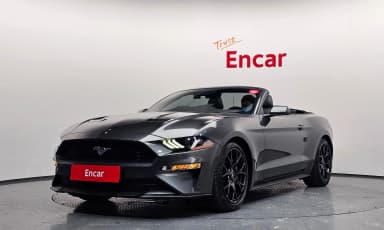 Mustang