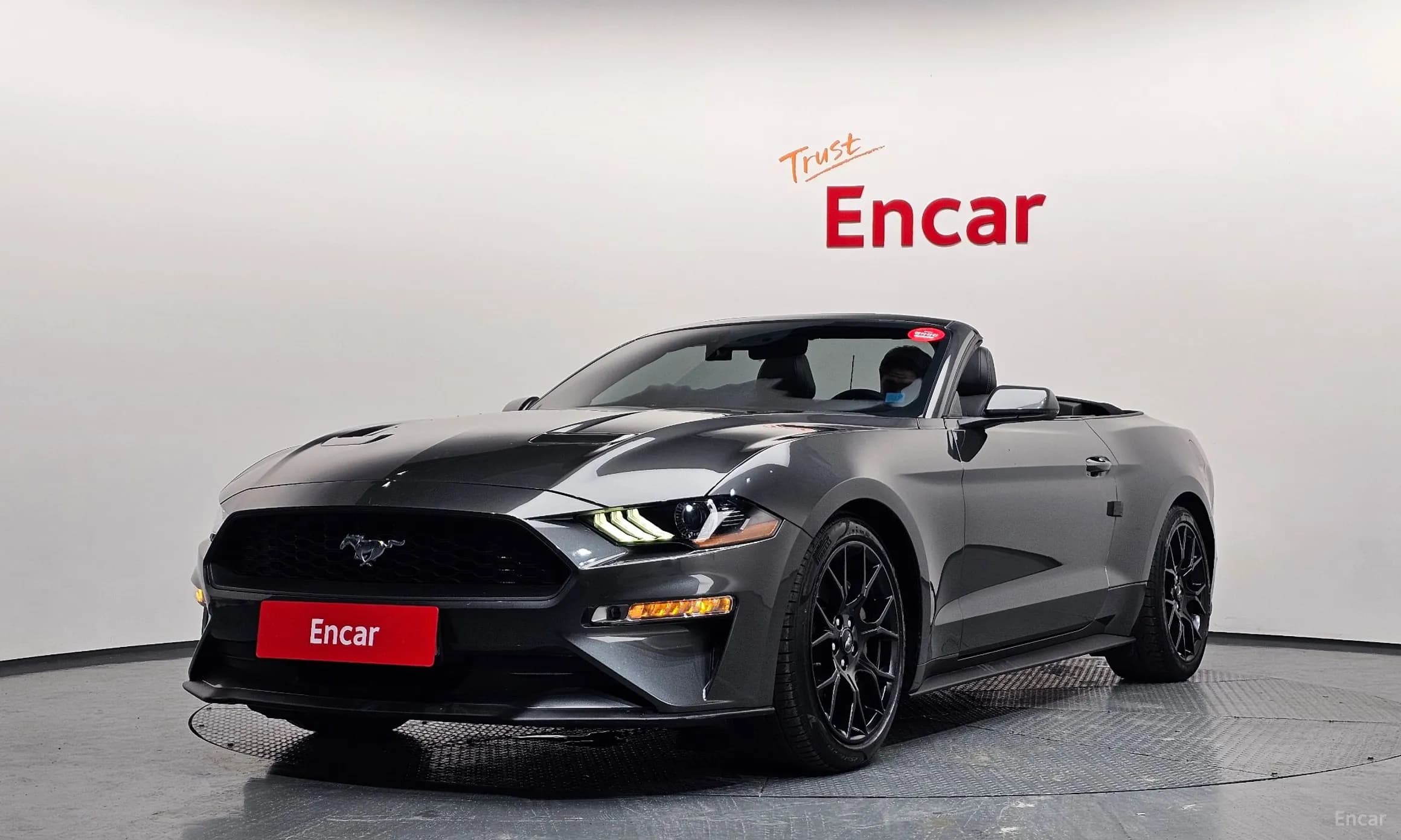 Mustang