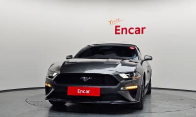 Mustang