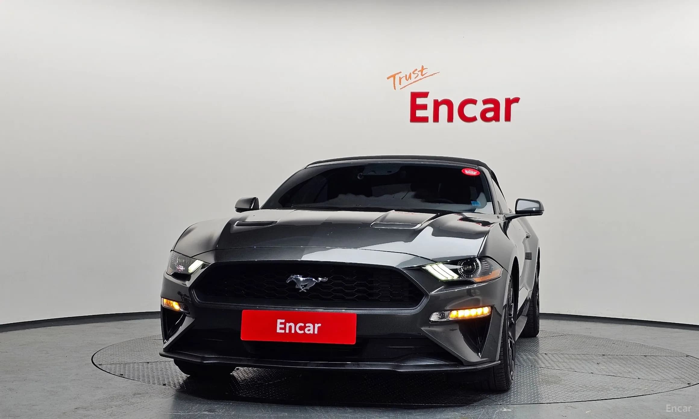 Mustang