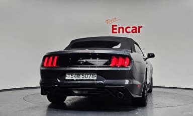 Mustang