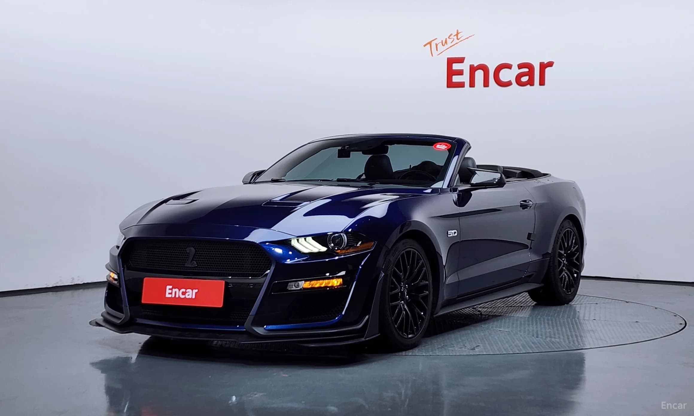 Mustang