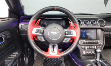Mustang