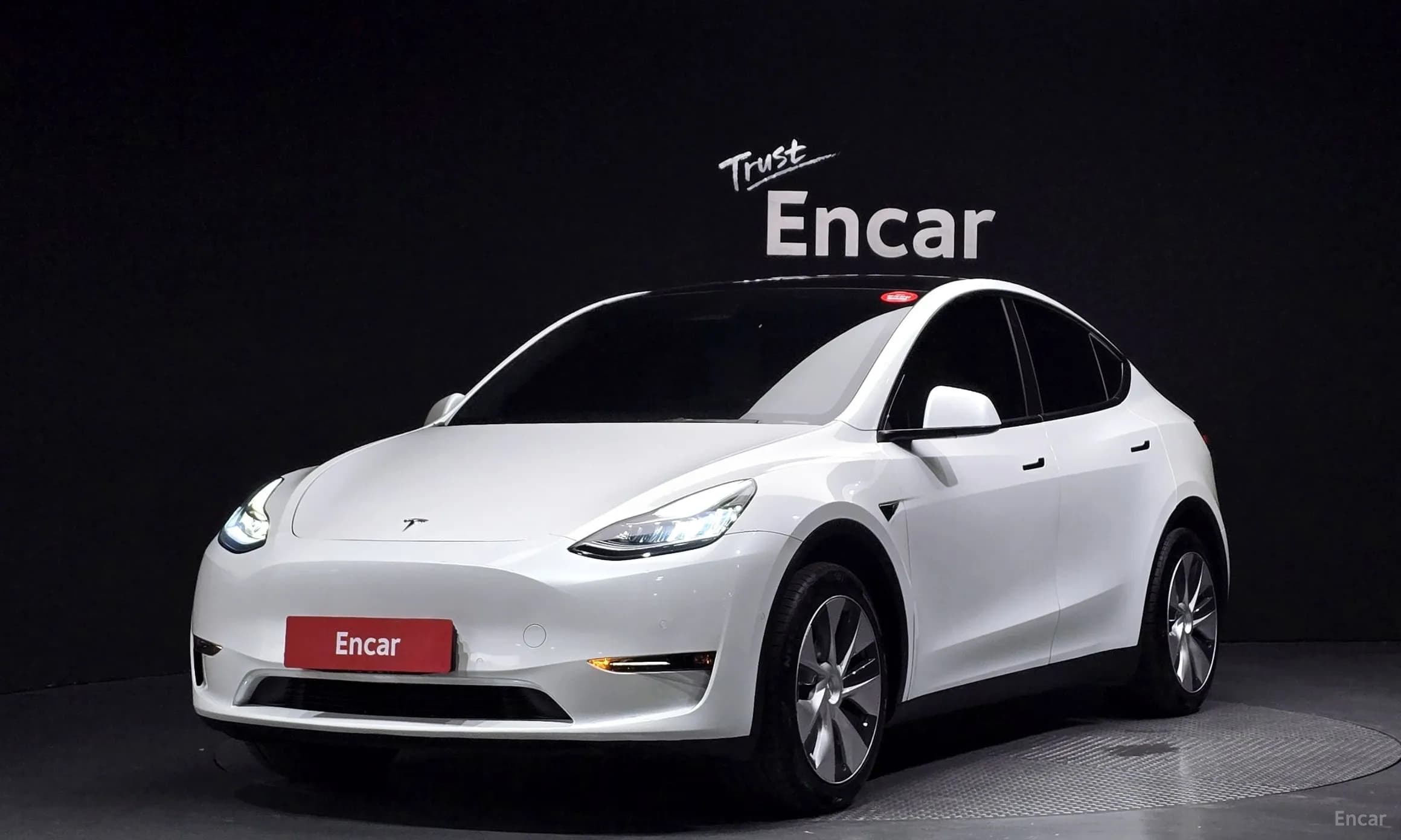 Model Y