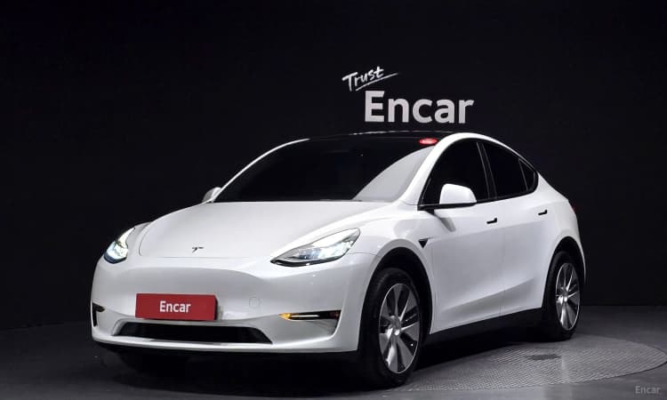 Model Y