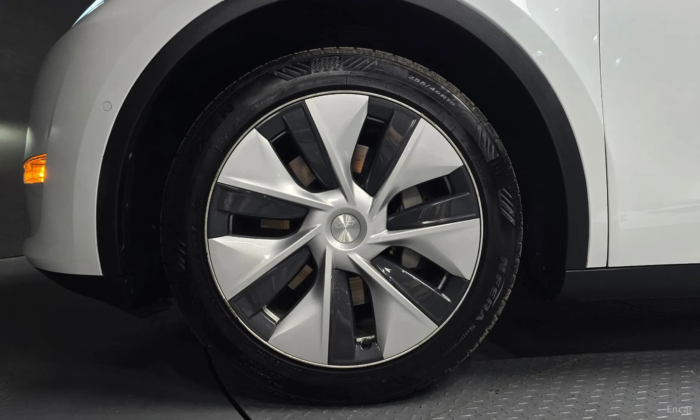 Model Y