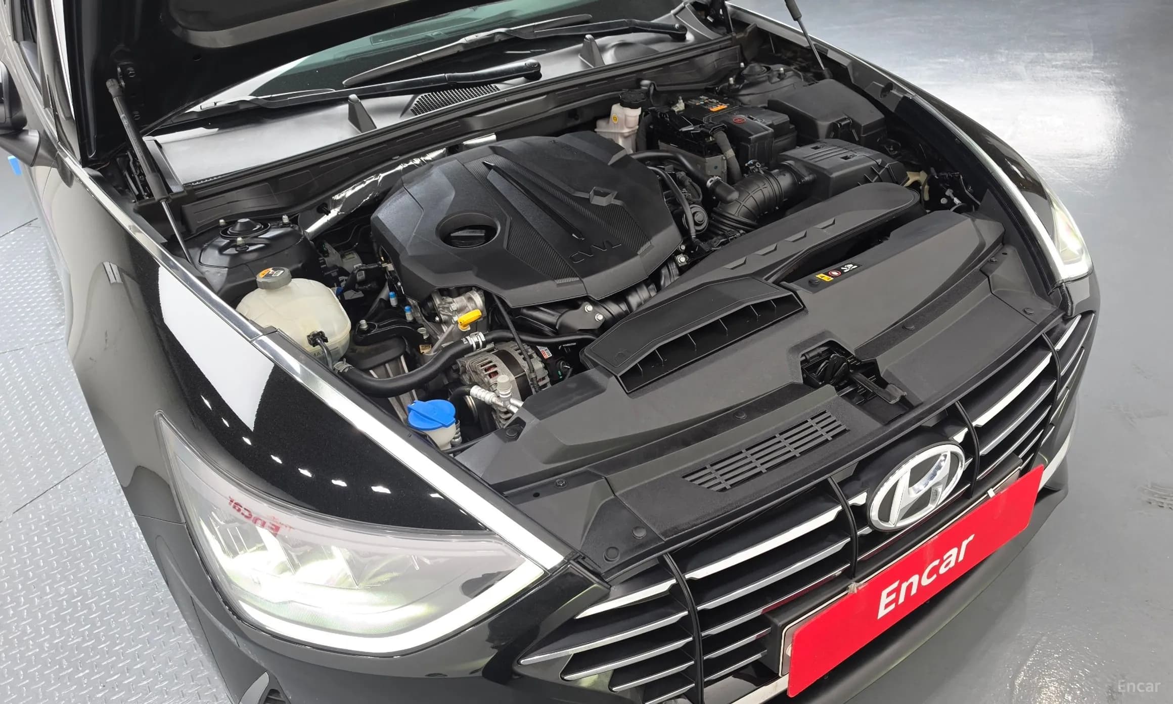Sonata (DN8)
