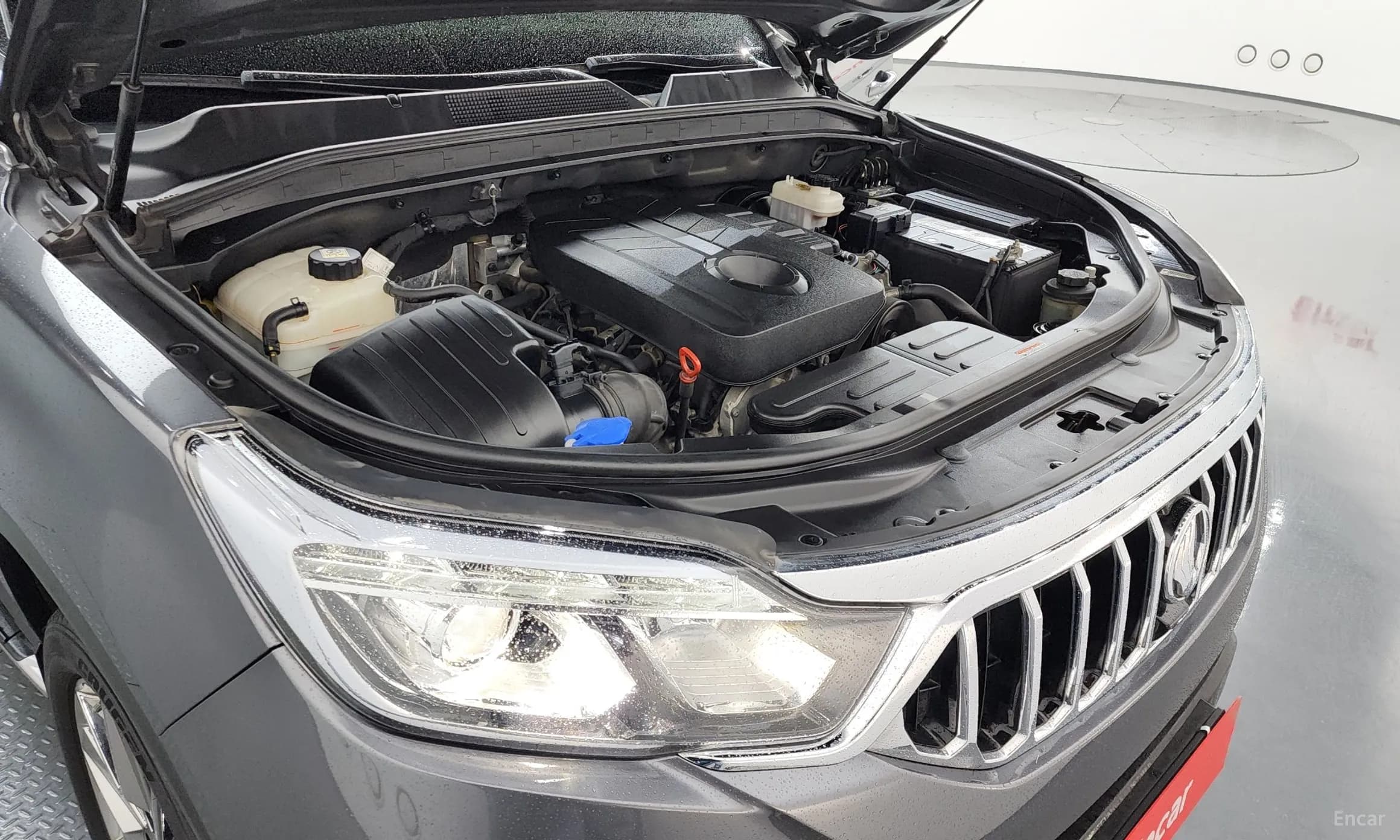 Rexton Sports Khan