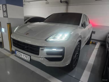 Cayenne (PO536)