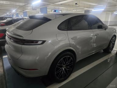 Cayenne (PO536)