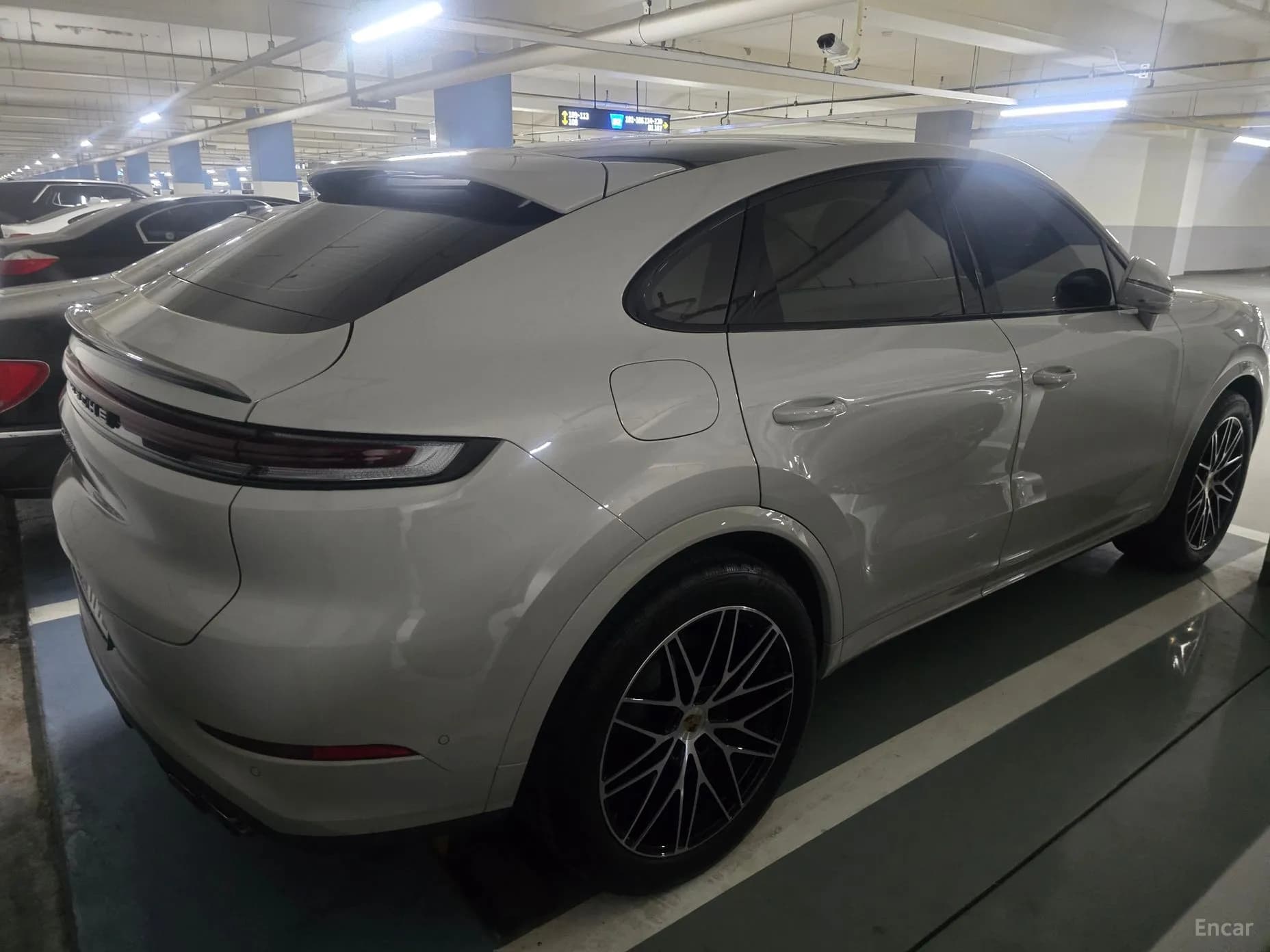 Cayenne (PO536)