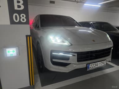 Cayenne (PO536)